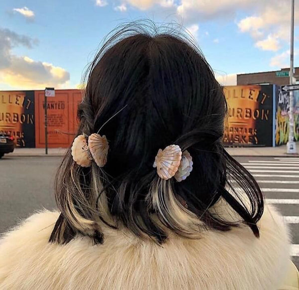 Acrylic Seashell Claw Clips